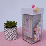 Caixas Lembrancinhas Acetato Luxo Personalizadas tema Circo